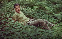 Brad Pitt tiết lộ bí mật giữa rừng gỗ đỏ