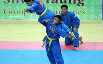 Vinatex tài trợ 1,2 tỉ đồng cho Vovinam