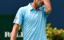 Djokovic, Wawrinka thua sốc