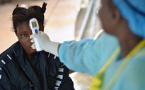 Thầy lang ở Sierra Leone truyền Ebola cho hàng trăm người