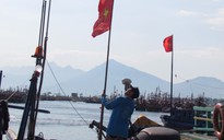 Ngư dân Đà Nẵng đồng loạt tiến ra Hoàng Sa