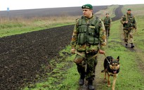 8.000 lính Ukraine xin gia nhập quân đội Nga
