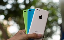 iPhone 5C bản 5GB giá rẻ xuất hiện tại Sài Gòn