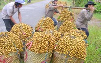 Trái cây tăng giá 3 - 4 lần, nông dân hết hàng để bán