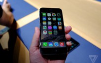 Đặt hàng iPhone 6 quá tải trong ngày đầu tiên