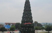 Độc đáo cây thông Noel cao 41 m ở Nghệ An