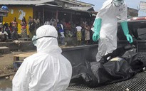 Thế giới phát sốt vì Ebola