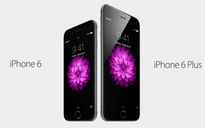 Chọn iPhone 6 hay iPhone 6 Plus ?