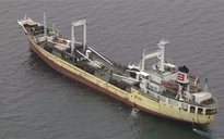 Nhật Bản tìm kiếm 6 thuyền viên Việt Nam mất tích