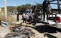 Mexico: 11 người chết không toàn thây