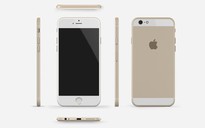 Các phiên bản iPhone 6 cùng phát hành vào 25-9