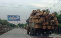 Vụ kiểm lâm Tiền Giang giải cứu gỗ lậu: Bỏ lọt tội phạm