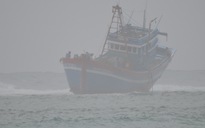 Trú bão số 4 – Một tàu cá gặp nạn