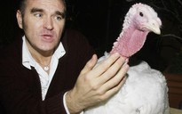 Morrissey: “Không khác biệt giữa ăn động vật và ấu dâm”