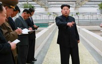 Ông Kim Jong-un "xử tử quản lý trang trại nuôi rùa"