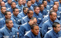 Trung Quốc lấy nội tạng của tù nhân còn sống?