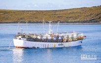 Tàu cá Đài Loan cùng 2 người Việt mất tích gần Argentina
