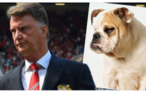 Rojo ví khuôn mặt Van Gaal như... chó bull