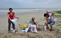 200 khách du lịch mắc kẹt tại đảo Lý Sơn, Quảng Ngãi