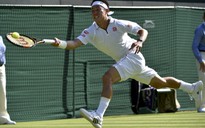 Wimbledon: Xem chiến thắng ấn tượng của Sharapova, Djokovic ngày đầu