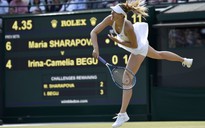 Sharapova, Djokovic thẳng tiến, Serena vất vả