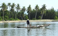 Tam Hải - ngọc thô chờ giũa