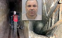 Cuộc vượt ngục kỳ lạ của El Chapo