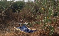 Chết trong bãi cỏ sau một đêm bỏ nhà đi bụi