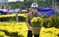 Đà Nẵng: Chợ hoa Tết ngày càng tấp nập