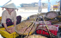Đầu năm ngư dân Bình Định trúng đậm ruốc biển