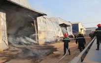 Bình Dương: Cháy cơ sở sản xuất viên gỗ nén, nhà xưởng bị thiêu rụi