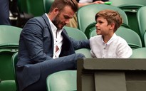 Beckham choáng khi con trai bỏ nghiệp bóng đá