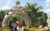 Hấp dẫn lễ hội bánh dân gian Nam Bộ