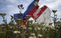 Hà Lan: Bắt cảnh sát rao bán “di vật” từ MH17