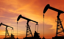 Mỹ giảm giàn khoan, giá dầu ngoi lên