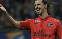 Ibrahimovic bị chửi là "to đầu và đần độn"