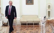Ông Putin dắt chó cưng đi phỏng vấn làm phóng viên hết hồn