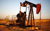 Giá dầu rớt xuống mức thấp nhất 12 năm qua