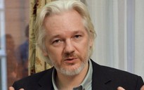 Ông chủ Wikileaks định nộp mình cho cảnh sát