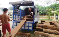 Bắt xe chở gỗ “qua mặt” nhiều trạm kiểm lâm cấp dưới