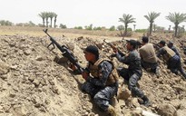 Iraq bắt hơn 450 tay súng IS bỏ trốn khỏi Fallujah