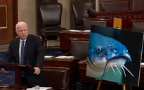 Thượng viện Mỹ bất ngờ "kết thúc cuộc chiến cá da trơn"