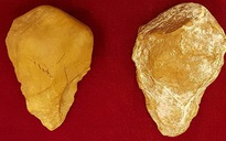 Phát hiện gây chấn động về người Việt cổ