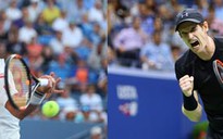 Hấp dẫn cuộc chạm trán Murray - Nishikori