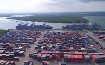 Hỏa tốc gỡ 50 container hải sản bị ách ở cảng