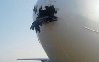 Bị chim đụng thủng mũi, máy bay vẫn hạ cánh an toàn