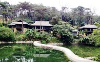 Xây Resort trái phép ở vườn Quốc gia Ba Vì: Do quá nể nang(?!)