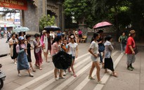 Giám sát hoạt động du lịch tại Khánh Hòa