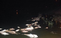 Làm rõ nguyên nhân cá chết ở hồ Linh Đàm