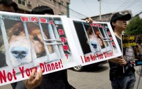 Hàng chục triệu người ngăn chặn lễ hội thịt chó